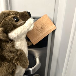 otter door