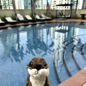 pool otter