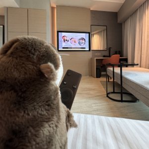 room otter